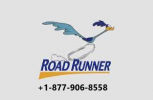 Roadrunner2.png