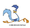 roadrunner logo.png